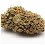 Шишки AK47  (Гидропоника, Бошка) VHQ в Северодвинске